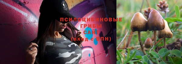 гашик Алексин