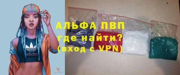 гашик Алексин