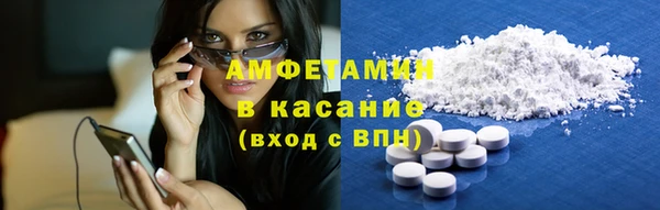 гашик Алексин