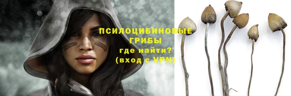 трава Алзамай