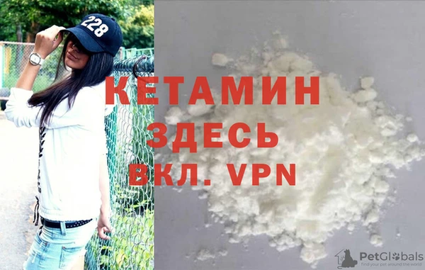 гашик Алексин