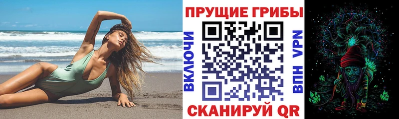 где продают Карабулак Галлюциногенные грибы Cubensis