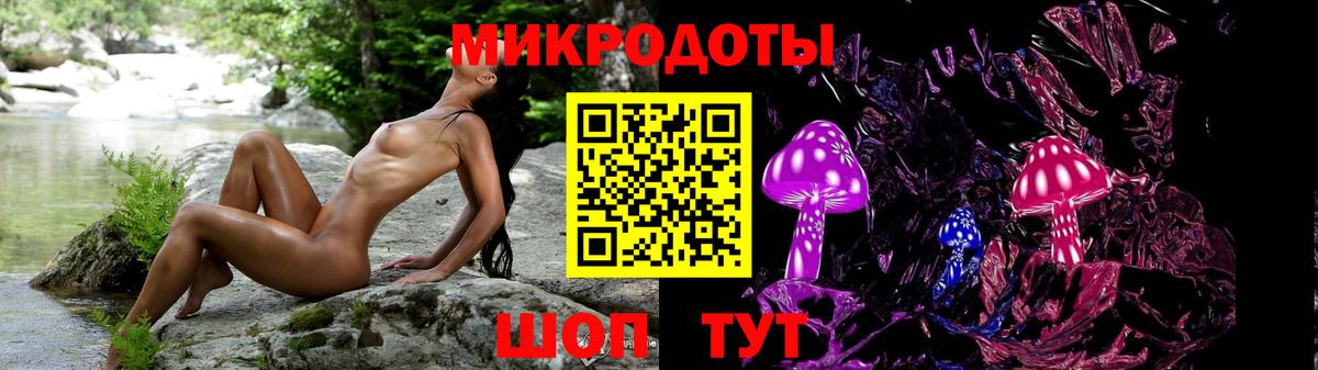 где купить наркоту  Псилоцибиновые грибы ЛСД  Вход с VPN  Карабулак 