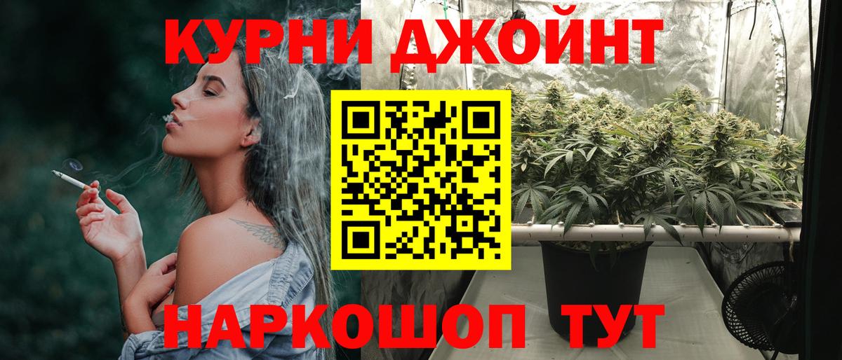 Конопля индика  Канабис гибрид  Вход с VPN  Карабулак  Конопля план 